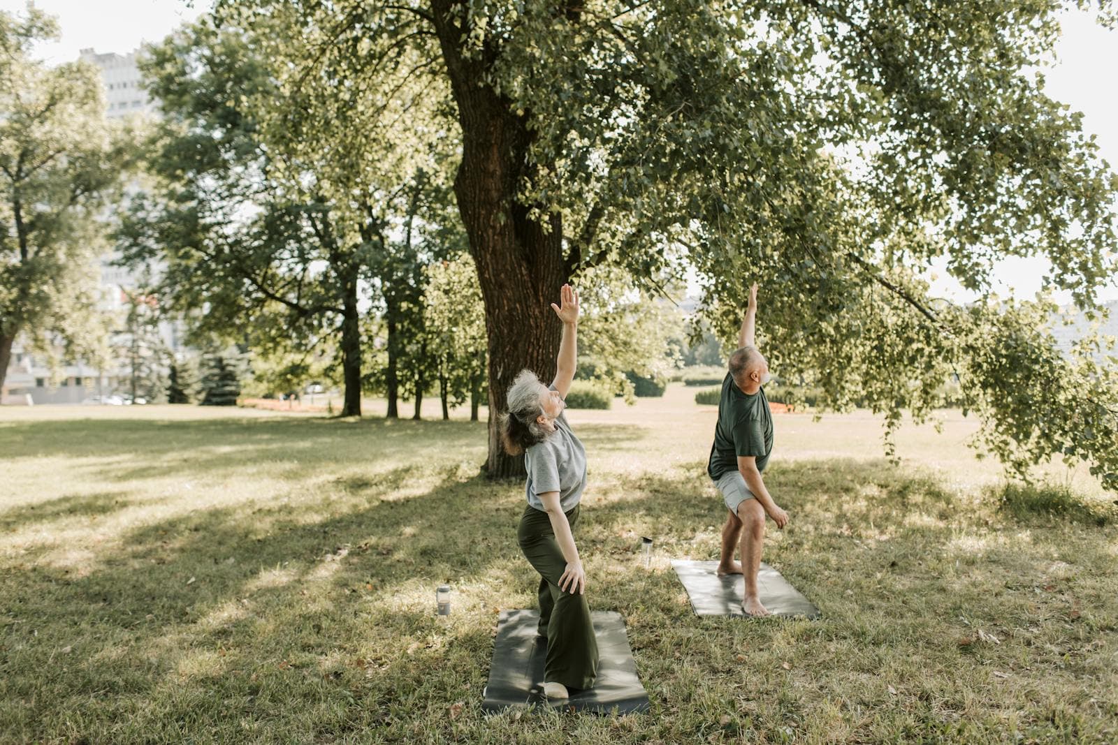 Mature adults practice yoga together — companion-supported wellness activities.